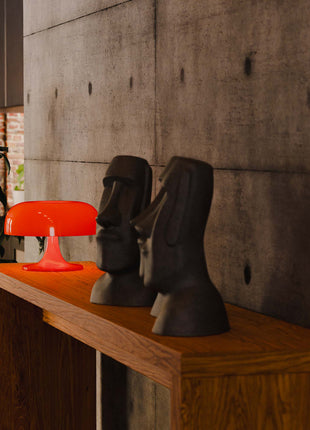 Modern interior with solid wood console table, plant, and lamp against a concrete wall, in entryway.