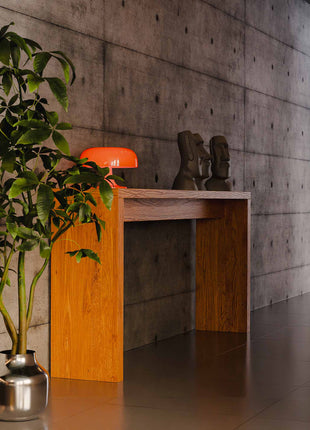 Modern interior with wooden console table, plant, and lamp against a concrete wall, in entryway.
