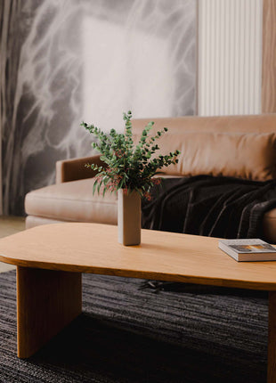 Living room with a brown sofa, wooden coffee table, and decorative elements.